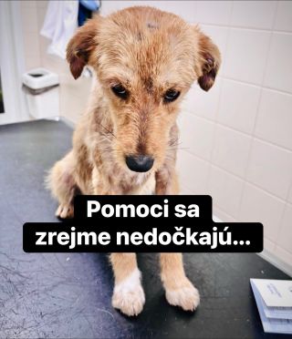 ❗️NA VÝCHODE SA ASI POMOCI NA ZIMU NEDOČKAJÚ 😭❗️ ❌❌❌❌❌❌❌❌❌❌❌❌❌❌❌❌❌❌❌❌❌❌ NAPRIEK VŠETKEJ SNAHE POMOC DO MICHALOVIEC STÁLE...