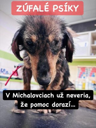 ❗️NA VÝCHODE SA POMOCI NA ZIMU NEDOČKAJÚ❓😭❗️ ❌❌❌❌❌❌❌❌❌❌❌❌❌❌❌❌❌❌❌❌❌❌ NAPRIEK VŠETKEJ SNAHE POMOC DO MICHALOVIEC STÁLE...