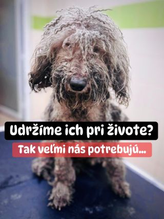 ❗️SMUTNÝ VÝCHOD NAĎALEJ V KONCOCH 😭❗️ ❌❌❌❌❌❌❌❌❌❌❌❌❌❌❌❌❌❌❌❌❌❌ TAK VEĽMI POTREBUJÚ POMOC A TAK VEĽA EŠTE CHÝBA 😱❗️ Zastavili...