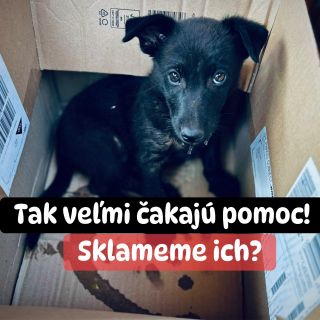 ❗️SMUTNÝ VÝCHOD NAĎALEJ V KONCOCH 😭❗️ ❌❌❌❌❌❌❌❌❌❌❌❌❌❌❌❌❌❌❌❌❌❌ TAK VEĽMI POTREBUJÚ POMOC A TAK VEĽA EŠTE CHÝBA 😱❗️ Zastavili...